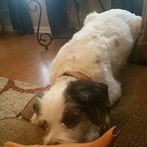 Meet your Posher, Connie