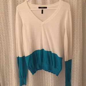 BCBG color block sweater