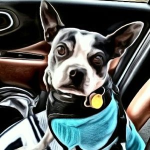 Meet your Posher, Melissa