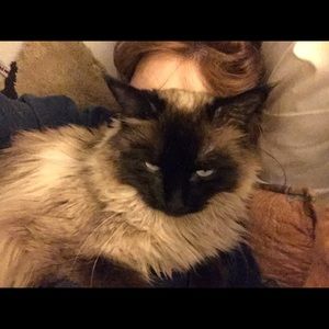 Meet your Posher, Amber