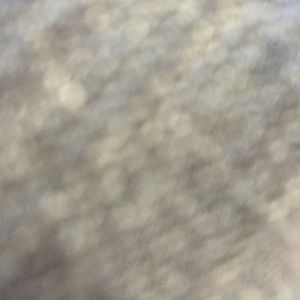 Meet your Posher, Kelsie