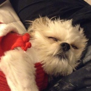 Meet your Posher, Sabrina