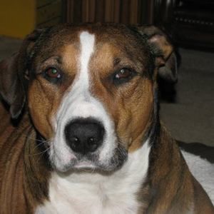 Meet your Posher, Leslie