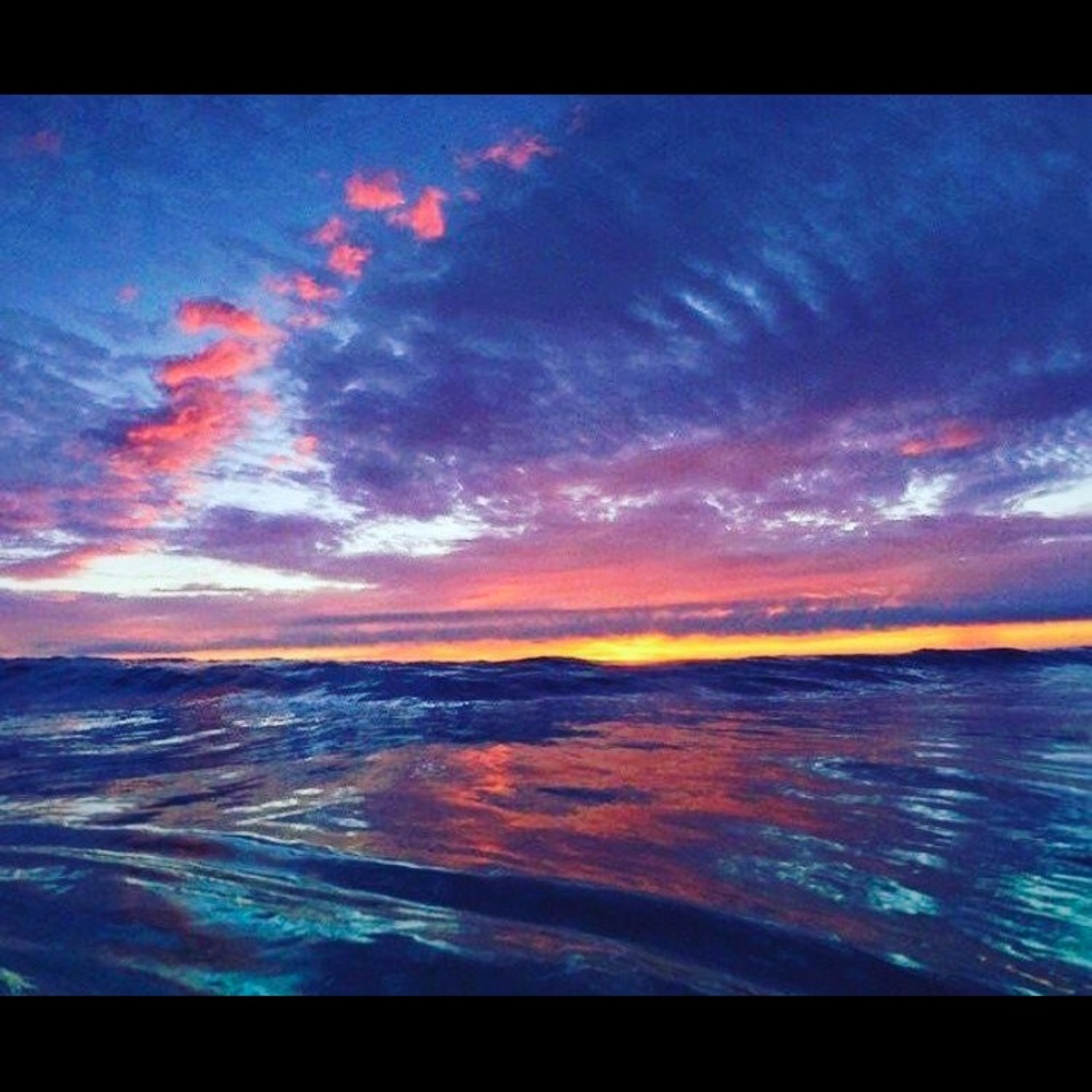 Meet your Posher, Catalina