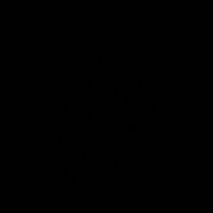 Meet your Posher, Cesar