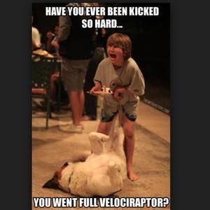 Meet your Posher, Drake