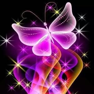 Meet your Posher, Robyn