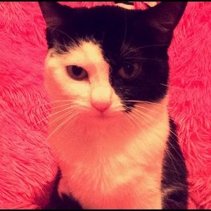 Meet your Posher, Emily