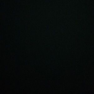 Meet your Posher, Rylee