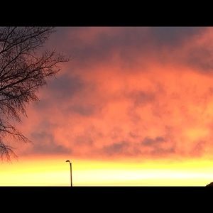 Meet your Posher, Ann