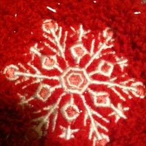 Meet your Posher, Jenny