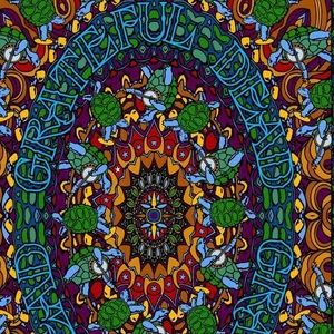 Grateful dead tapestry