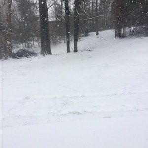 Meet your Posher, Trisha