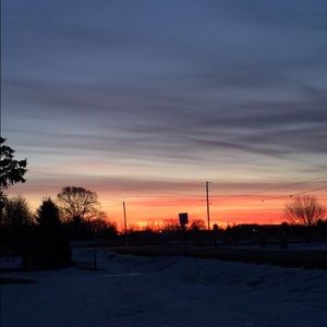 Meet your Posher, Ricki