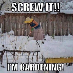 Meet your Posher, T cheryl