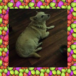 Meet your Posher, Marta