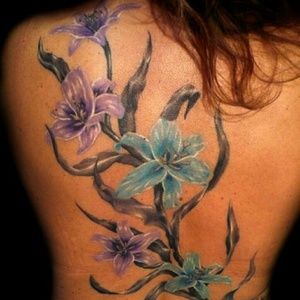 Meet your Posher, Ginger