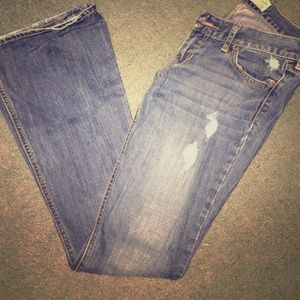 Hollister Bootcut Jeans