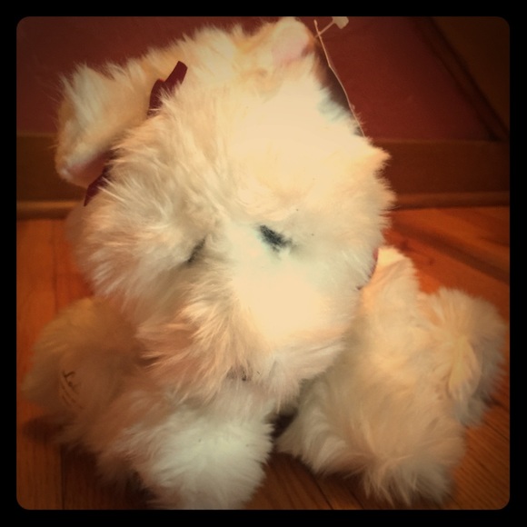 VICTORIAS SECRET collectible stuffy!  Dtd 2001