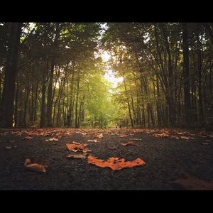 Meet your Posher, Cristal