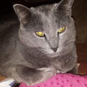Meet your Posher, Monica