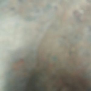 Meet your Posher, Leslie