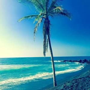 Meet your Posher, Lindsay