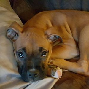 Meet your Posher, Sara