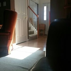 Meet your Posher, Tim