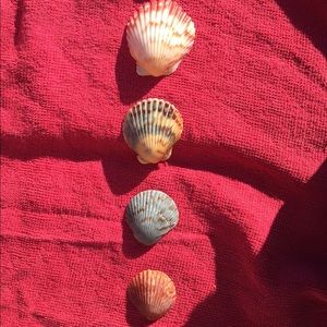 Meet your Posher, Trisha