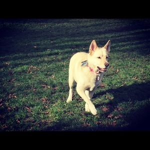 Meet your Posher, Laure