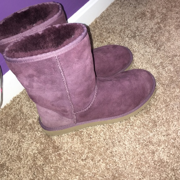 Purple Uggs