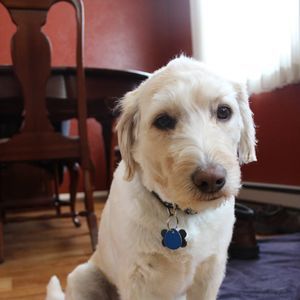 Meet your Posher, Wendy