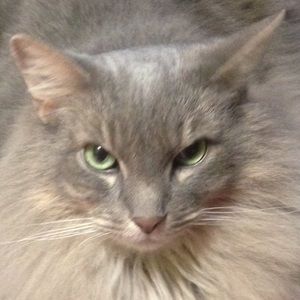 Meet your Posher, Sandy