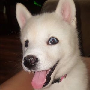 Meet your Posher, Cassie