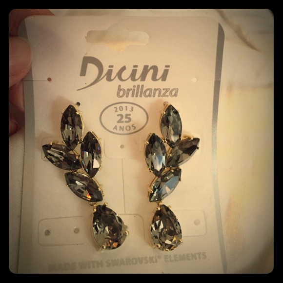 Beautiful, shiny earnings. Never worn.