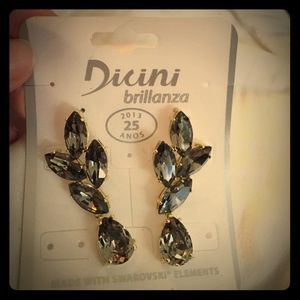 Beautiful, shiny earnings. Never worn.