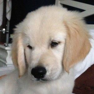 Meet your Posher, Aly