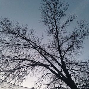 Meet your Posher, Lucy