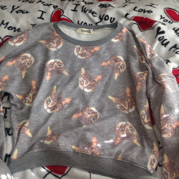 kitten top