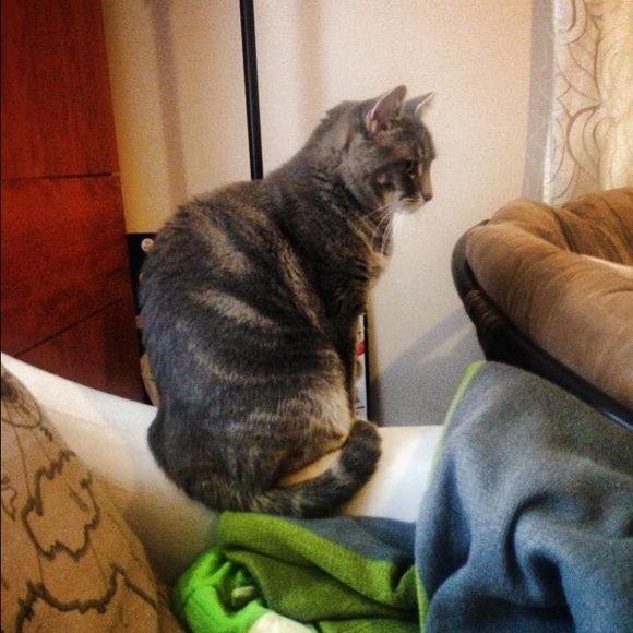 Meet your Posher, Mariya - Picture 3 of 3