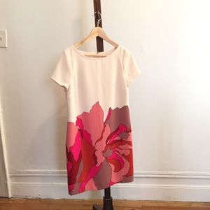Ann Taylor loft dress