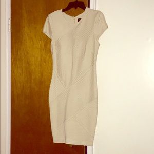 Torn by Ronny Kobo short sleeve crewneck dress