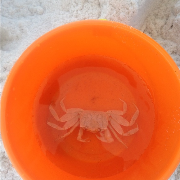 Meet your Posher, Tina