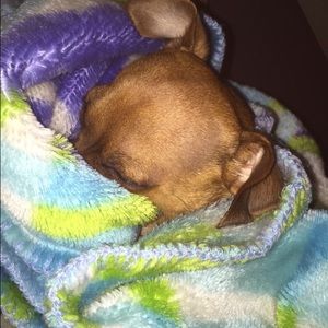 Meet your Posher, Jazmine