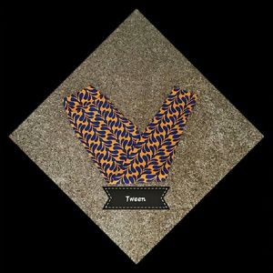 NWOT Lularoe Tween Leggings