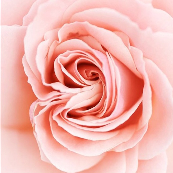 Show Me the 411, Nailovette