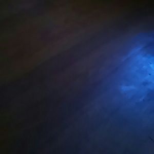 Meet your Posher, Lezlie