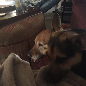 Meet your Posher, Mary