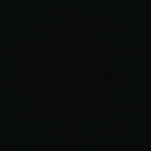 Meet your Posher, Kollman